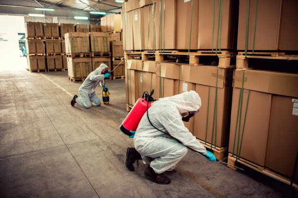 Best Local Pest Control Services  in Beech Mountain Lakes, PA