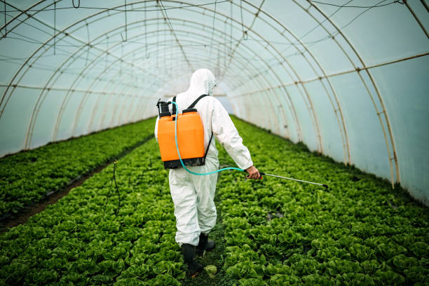 Best Emergency Pest Control  in Beech Mountain Lakes, PA