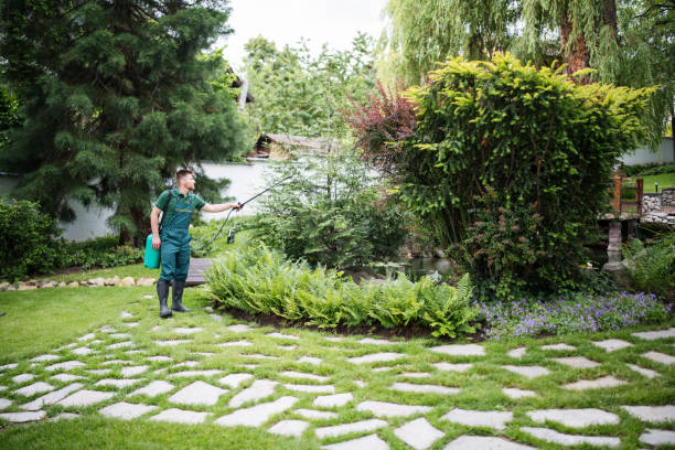 Best Wasp Removal Services  in Beech Mountain Lakes, PA