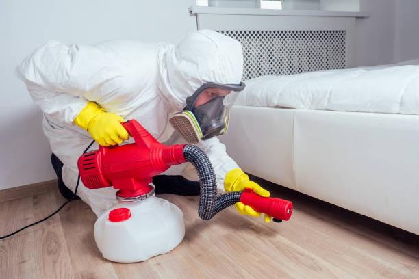 Best Affordable Pest Control Services  in Beech Mountain Lakes, PA
